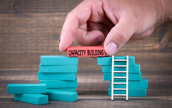 capacity building, change management, building skills