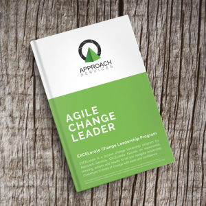Agile Change Leader
