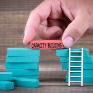 capacity building, change management, building skills